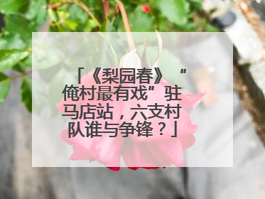 《梨园春》“俺村最有戏”驻马店站，六支村队谁与争锋？