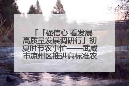 「强信心 看发展·高质量发展调研行」初夏时节农事忙——武威市凉州区推进高标准农田建设见闻