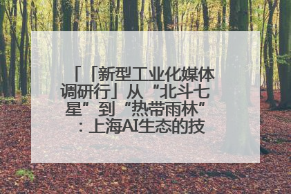 「新型工业化媒体调研行」从“北斗七星”到“热带雨林”：上海AI生态的技术商业共生密码