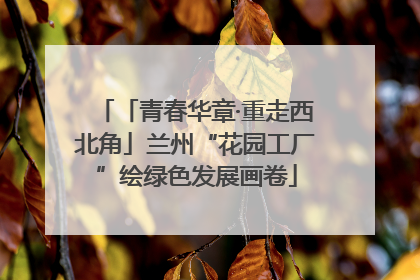 「青春华章·重走西北角」兰州“花园工厂”绘绿色发展画卷