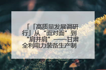 「高质量发展调研行」从“面对面”到“肩并肩”——甘肃全利电力装备生产制造项目一线见闻