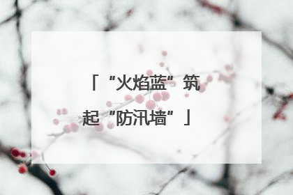“火焰蓝”筑起“防汛墙”