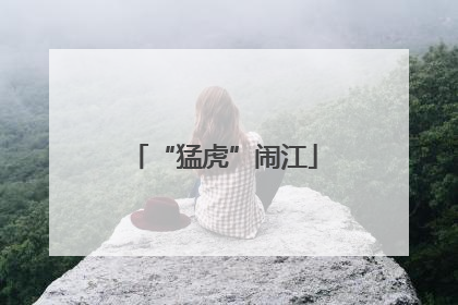 “猛虎”闹江