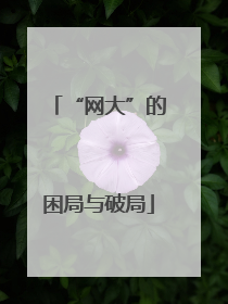“网大”的困局与破局