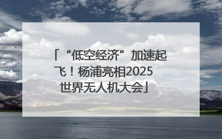 “低空经济”加速起飞！杨浦亮相2025世界无人机大会