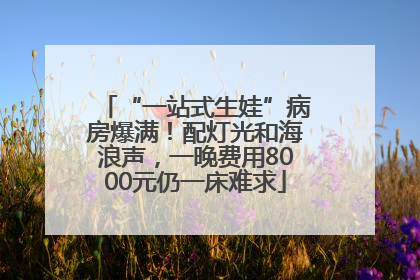 “一站式生娃”病房爆满！配灯光和海浪声，一晚费用8000元仍一床难求