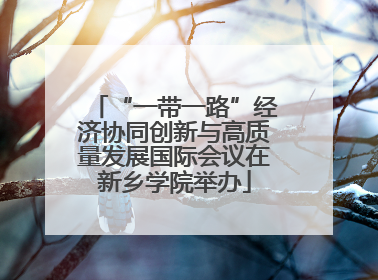 “一带一路”经济协同创新与高质量发展国际会议在新乡学院举办