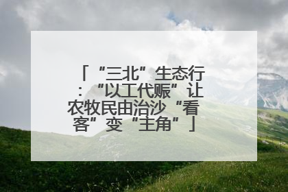 “三北”生态行：“以工代赈”让农牧民由治沙“看客”变“主角”