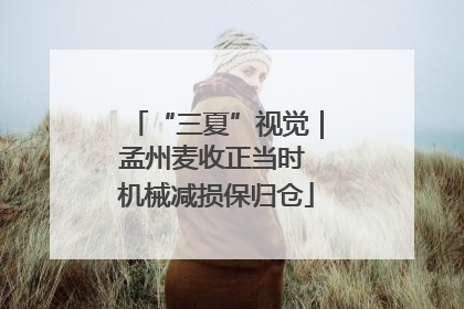 “三夏”视觉｜孟州麦收正当时 机械减损保归仓