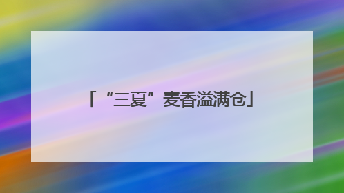 “三夏”麦香溢满仓