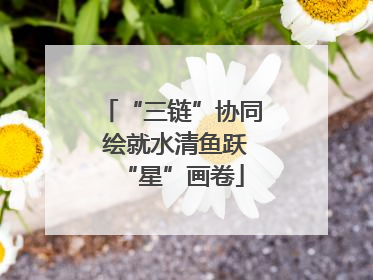 “三链”协同 绘就水清鱼跃“星”画卷