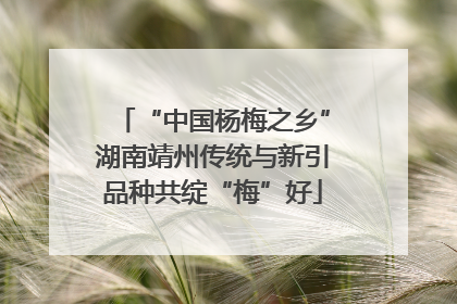 “中国杨梅之乡”湖南靖州传统与新引品种共绽“梅”好