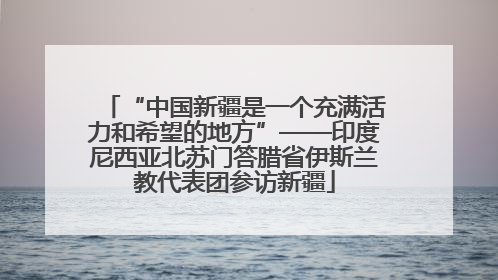 “中国新疆是一个充满活力和希望的地方”——印度尼西亚北苏门答腊省伊斯兰教代表团参访新疆