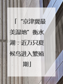 “京津冀最美湿地”衡水湖：近万只夏候鸟进入繁殖期