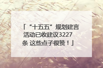 “十五五”规划建言活动已收建议3227条 这些点子很赞！