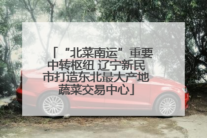 “北菜南运”重要中转枢纽 辽宁新民市打造东北最大产地蔬菜交易中心
