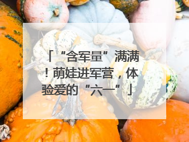 “含军量”满满！萌娃进军营，体验爱的“六一”