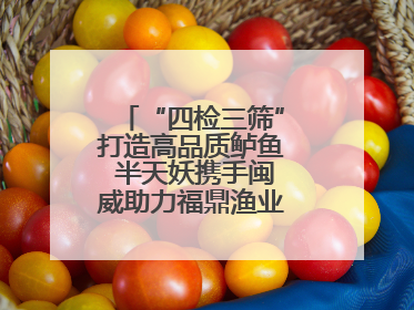 “四检三筛”打造高品质鲈鱼 半天妖携手闽威助力福鼎渔业实现产业升级