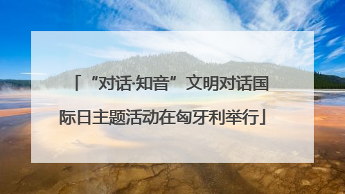 “对话·知音”文明对话国际日主题活动在匈牙利举行