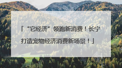 “它经济”领跑新消费！长宁打造宠物经济消费新场景！