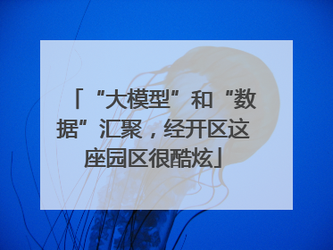 “大模型”和“数据”汇聚，经开区这座园区很酷炫