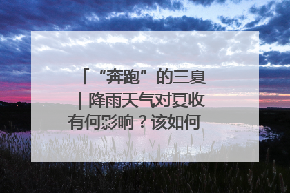 “奔跑”的三夏｜降雨天气对夏收有何影响？该如何防范？一文了解