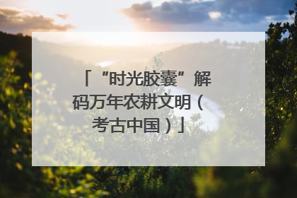 “时光胶囊”解码万年农耕文明（考古中国）