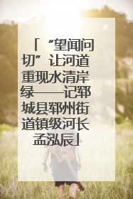 “望闻问切”让河道重现水清岸绿——记郓城县郓州街道镇级河长孟泓辰