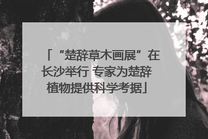 “楚辞草木画展”在长沙举行 专家为楚辞植物提供科学考据