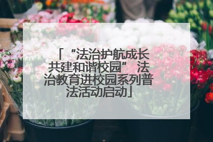 “法治护航成长 共建和谐校园” 法治教育进校园系列普法活动启动