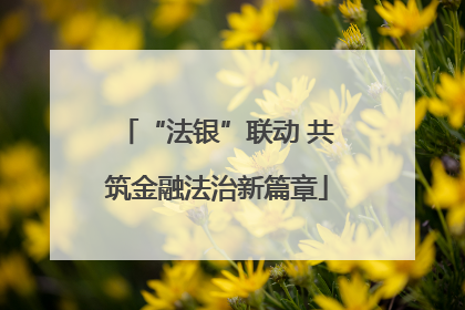 “法银”联动 共筑金融法治新篇章