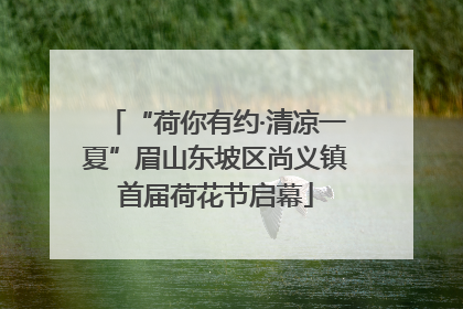 “荷你有约·清凉一夏”眉山东坡区尚义镇首届荷花节启幕