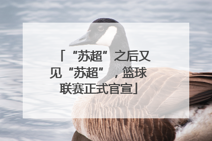 “苏超”之后又见“苏超”，篮球联赛正式官宣