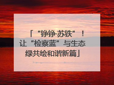 “铮铮·苏铁”！让“检察蓝”与生态绿共绘和谐新篇