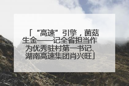 “高速”引擎，菌菇生金——记全省担当作为优秀驻村第一书记、湖南高速集团肖兴旺