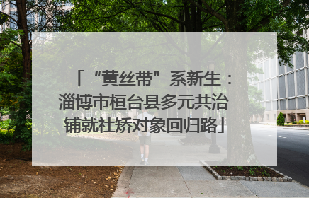 “黄丝带”系新生：淄博市桓台县多元共治铺就社矫对象回归路