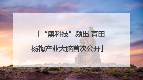 “黑科技”频出 青田杨梅产业大脑首次公开