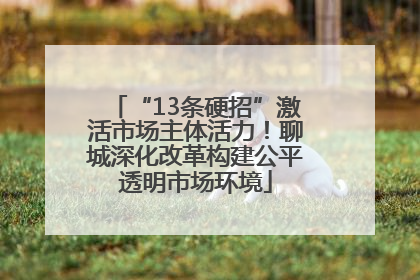 “13条硬招”激活市场主体活力！聊城深化改革构建公平透明市场环境