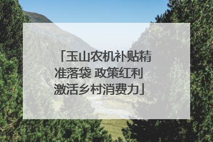 玉山农机补贴精准落袋 政策红利激活乡村消费力