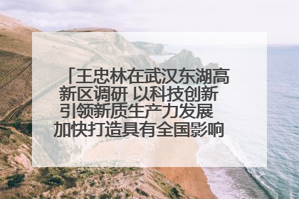 王忠林在武汉东湖高新区调研 以科技创新引领新质生产力发展 加快打造具有全国影响力的科技创新高地