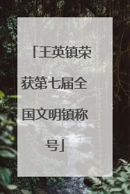 王英镇荣获第七届全国文明镇称号