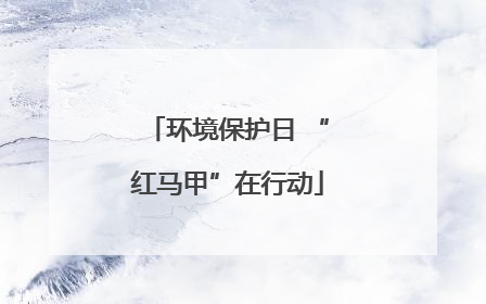 环境保护日 “红马甲”在行动