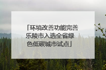 环境改善功能完善 乐陵市入选全省绿色低碳城市试点