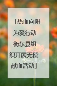 热血向阳 为爱行动 衡东县组织开展无偿献血活动