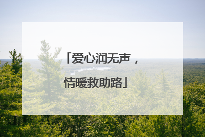 爱心润无声，情暖救助路