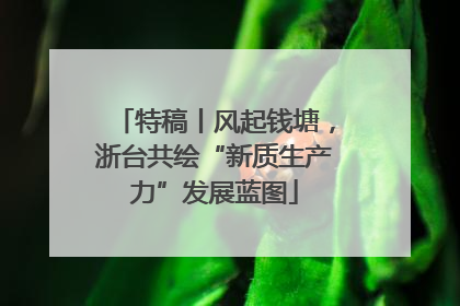 特稿丨风起钱塘，浙台共绘“新质生产力”发展蓝图