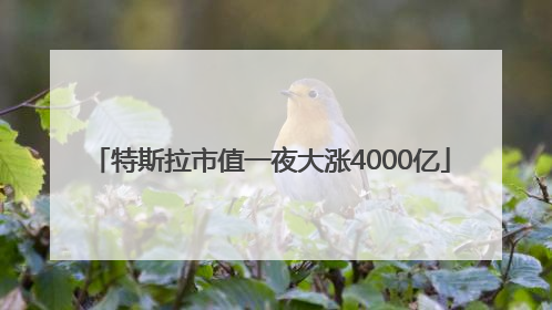 特斯拉市值一夜大涨4000亿