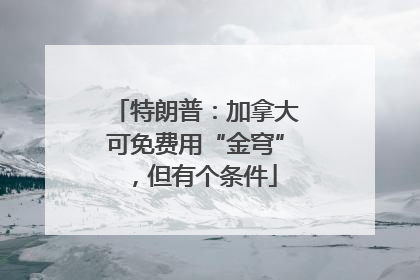 特朗普：加拿大可免费用“金穹”，但有个条件