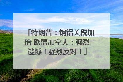 特朗普：钢铝关税加倍 欧盟加拿大：强烈遗憾！强烈反对！