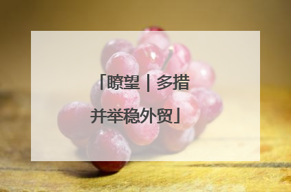 瞭望｜多措并举稳外贸